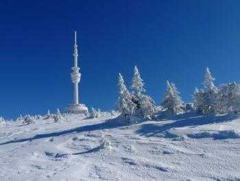 Jeseníky, Rychlebské hory, Kralický Sněžník