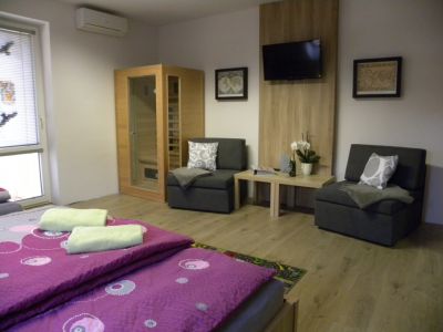 Wellness Apartmány Vlčková