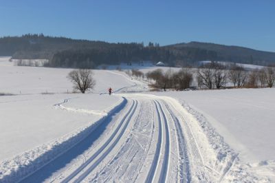 Penzion SNĚŽNÁ