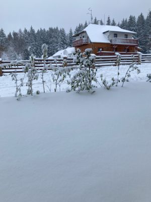 SKI apartmán Snowcat