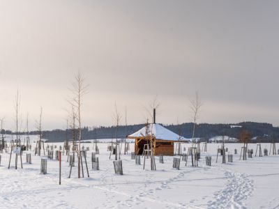 Tree houses Sněžník