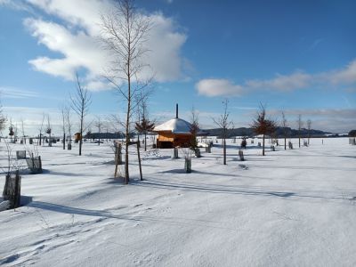 Tree houses Sněžník