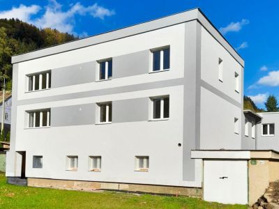 Apartmány a hospůdka U Dzina