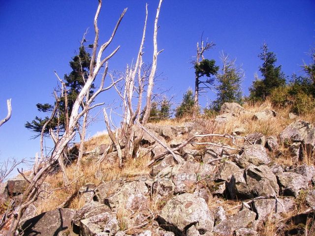 Jelení hora vrchol - kamenítý svah -poblíž keška