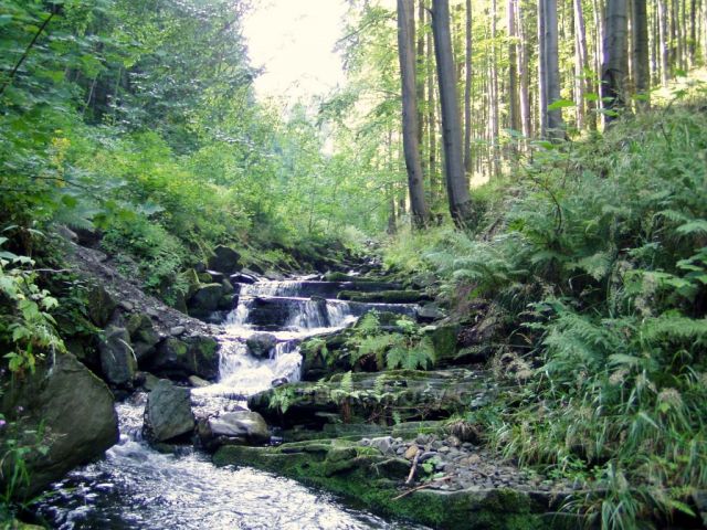 Potok Lomná-Beskydy