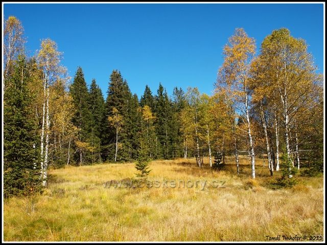 Šumava - podzimní atmosféra nedaleko Modravy
