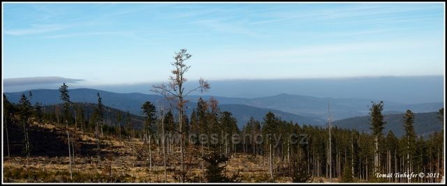 Šumava - vrchol Špičák, pohled do Čech