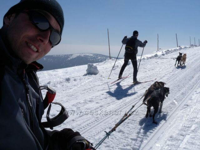 skijoring chata Racek