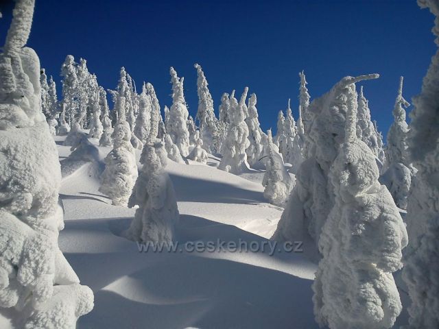 Zima 2012 na Lysé hoře