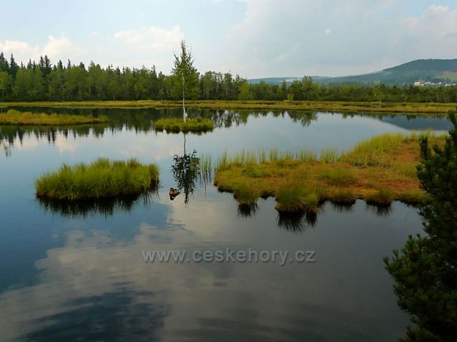 Jezero v Chalupské slati - tudy vedla nebezpečná trasa Krále Šumavy
