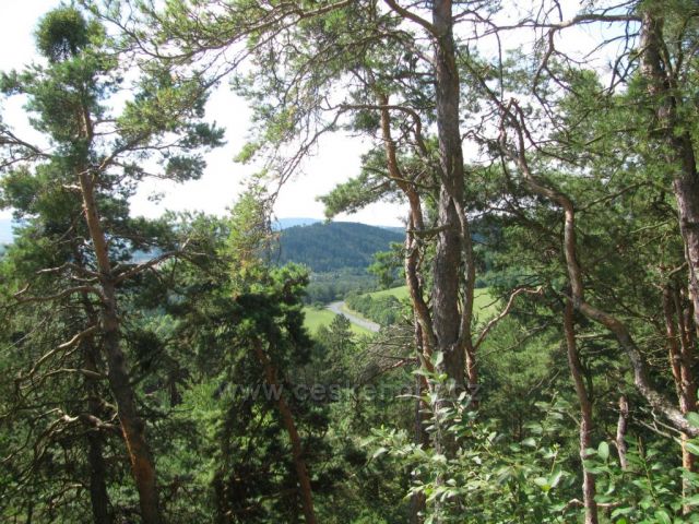 Pohled od hradu Rabí do šumavského podhůří
Autor: Marcela Zajíčková
       České hory