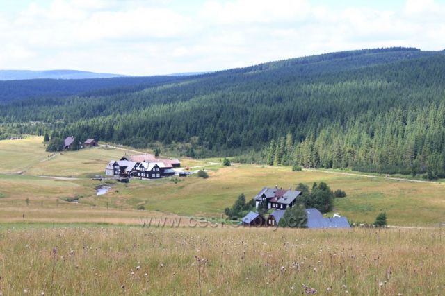 Údolí Jizerky
foceno: červenec 2013