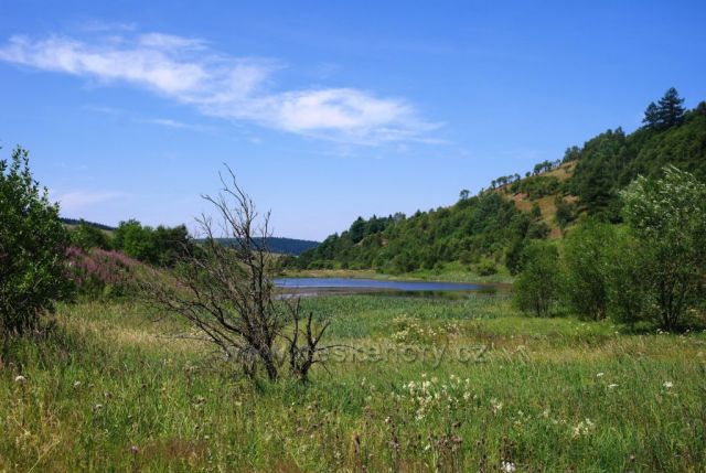 Dolní Moldava - rybníky