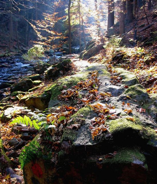 Údolí Doubravy na podzim