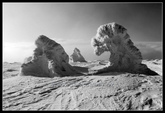 Sněhové sfingy na Jelením hřbetu v Jeseníkách