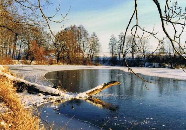 Zima u rybníku Petráň