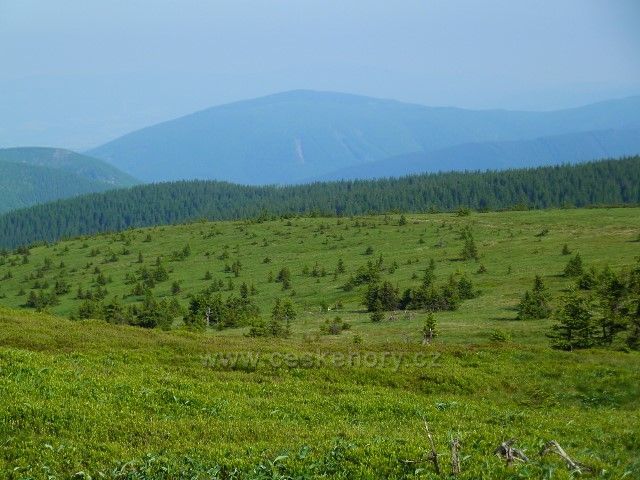 Panorama Jesenického pohoří od Vysoké hole