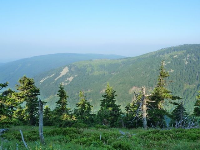 Pohled na protější  hřeben Klínové hory a Spáleného vrchu z cesty na Vřesovou studánku