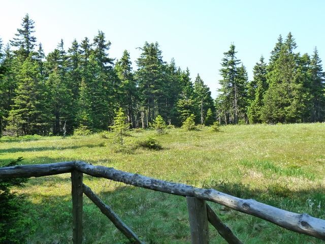 Pohled na rašeliniště z vyhlídkového ochozu u cesty k Trojmezí