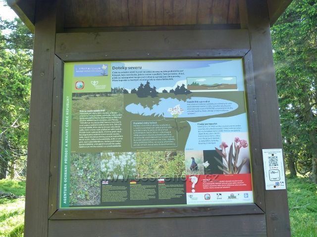 Informační tabule u zpřístupněného rašeliniště u cesty k Trojmezí