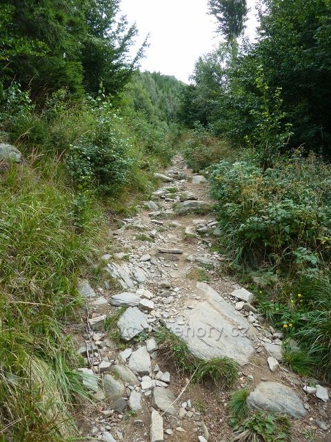 Kamenitý chodník po zelené TZ prudce stoupá až k Obřím skalám