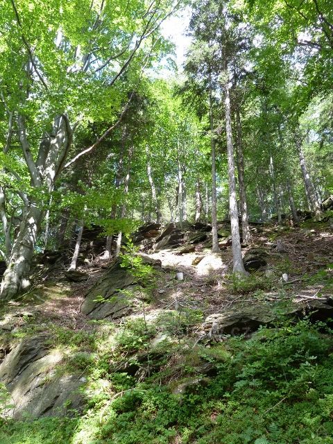 Skalnatý terén v okolí dolní části cyklostezky 6208 z Obřích skal do Lázní Lipová