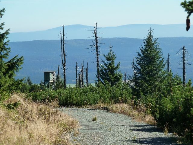 Pohled z Bunkrovky pod vrcholem Koruny
