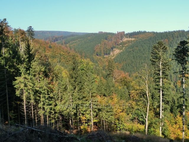 Horní Lipová - pohled z vrstevnicové cesty nad Lesní bar na protilehlý svah údolí Vápenného potoka