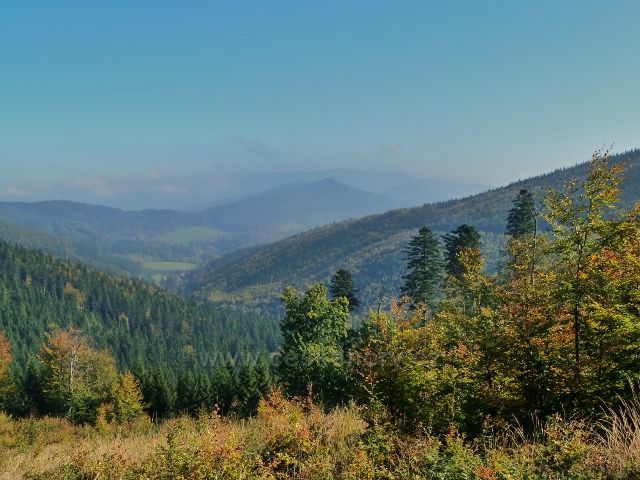 Horní Lipová - pohled z vrstevnicové cesty nad Lesní bar do údolí říčky Staříč