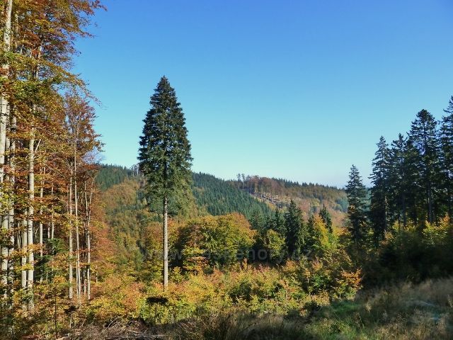 Horní Lipová - pohled c cyklostezky 6044 na protilehlý hřeben mezi Lučním vrchem a Jesenným