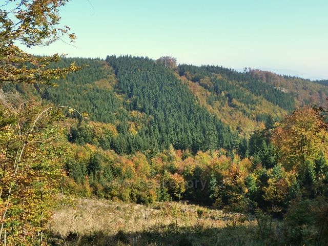 Horní Lipová -pohled z cyklostezky 6044 na protilehlý hřeben vrchu Jesenný