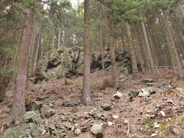 Horní Lipová - skály v lesním porostu nad vrstevnicovou cestou pod Lesním barem