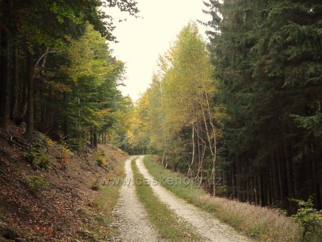 Horní Lipová - zpětný pohled na vrstevnicovou cestu pod Lesním barem