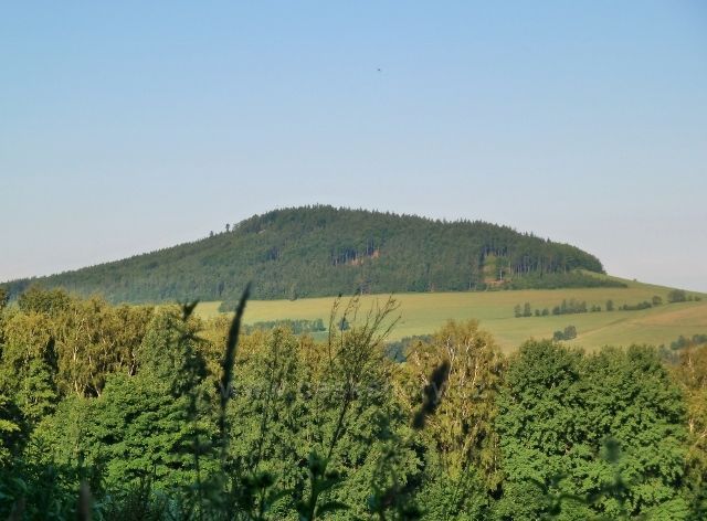 Pohled na Studenecký vrch od bývalých mladkovských lesních školek