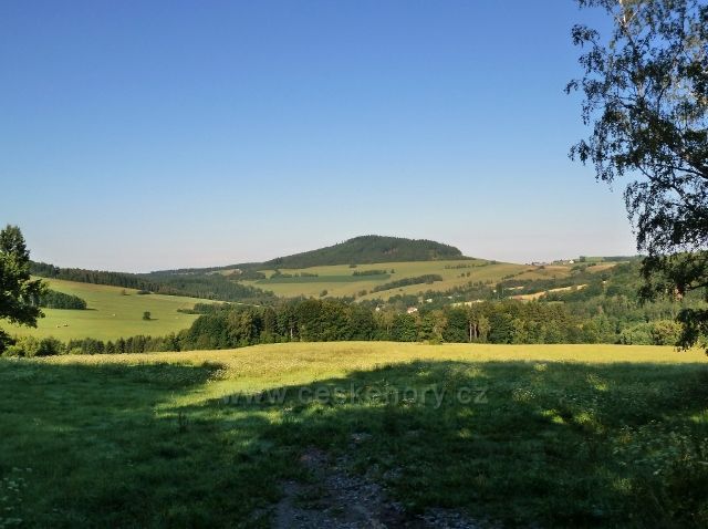 Mladkov - pohled od bývalých lesních školek na Studenecký vrch. v popředí část obce Celné