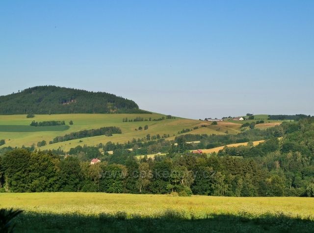 Pohled od bývalých mladkovských lesních školek na Studenecký vrch a vlčkovický kravín- v popředí část Celného