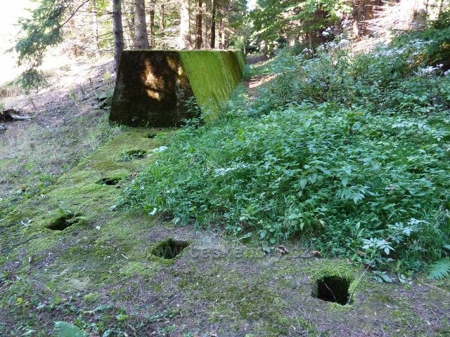 Adam -betonový val v lese pod bunkrem K-S36