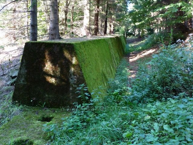 Adam - betonový val v lese pod bunkrem K-S36