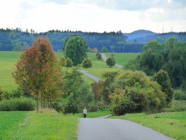 Líšnice - místní silnička z klášterecké silnice do obce, na obzoru vykukuje vrch Žampach