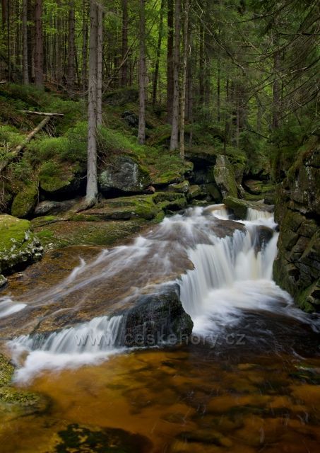 Jedlová - krásný potok z Jizerských hor plný vodopádů a kaskád.