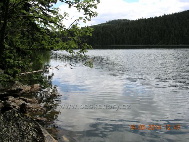 Černé jezero na Šumavě
