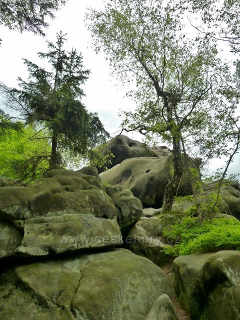 Teplické skály - skalnatý vrchol Čápu