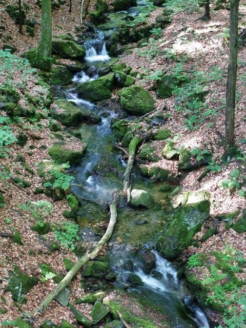 Nýznerovské vodopády - Bučínský potok