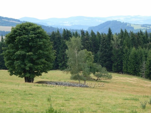 Ostružná - cesta po červené TZ vede nad horskými pastvinami s "kamennými hřbety" nad Bídou