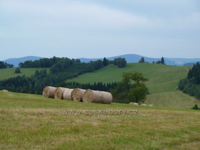 Kronfelzov - sklizeň otavy na pastvinách Holého vrchu nad osadou Kronfelzov