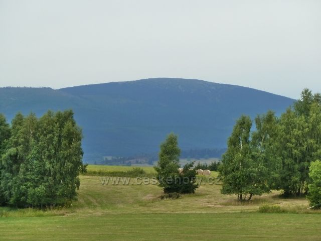 Kronfelzov - pohled z pastvin nad osadou na Kralický Sněžník