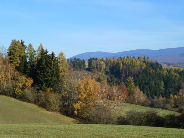 Habartice - pohled ze silničky do Vikantic k Jeseníkům