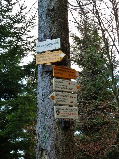 Dolní Morava - turistický rozcestník Nad Sršňovkou /870 m.n.m./