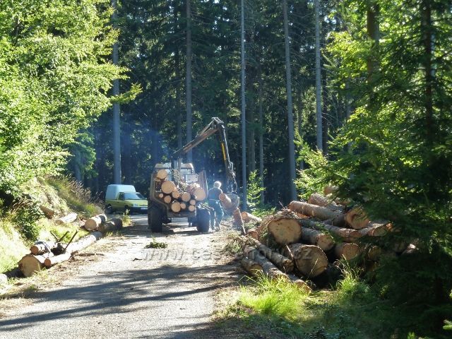 Dolní Morava - odvoz kalamitního dřeva z vrstevnicové cesty ke Zbojnické chatě