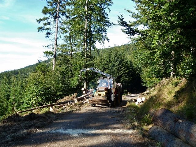 Dolní Morava - manipulace a přibližování kalamitního dřeva na vrstevnicové cestě po žluté TZ vedoucí ke Zbojnické chatě